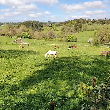 Lägenhet Maisonettewohnung In Der Haute Ecole - Hellenthal-losheim Nahe Kronenburg Hellenthal